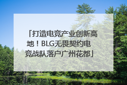 打造电竞产业创新高地！BLG无畏契约电竞战队落户广州花都