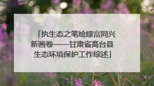 执生态之笔绘绿富同兴新画卷——甘肃省高台县生态环境保护工作综述