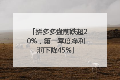 拼多多盘前跌超20%，第一季度净利润下降45%