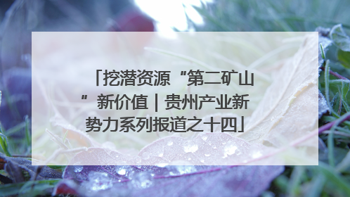 挖潜资源“第二矿山”新价值｜贵州产业新势力系列报道之十四