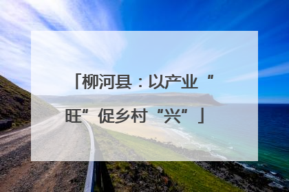 柳河县：以产业“旺”促乡村“兴”