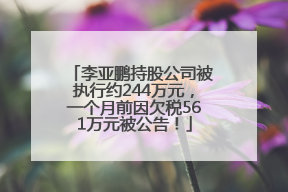 李亚鹏持股公司被执行约244万元，一个月前因欠税561万元被公告！