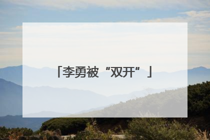 李勇被“双开”