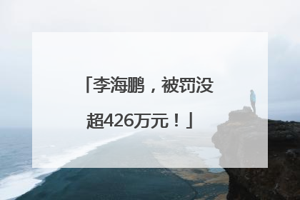 李海鹏，被罚没超426万元！