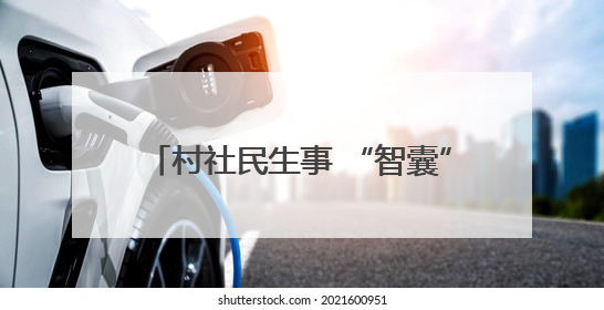 村社民生事 “智囊”出点子 嘉兴市秀洲区推行AI“民情一本账”