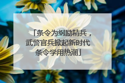 条令为纲励精兵，武警官兵掀起新时代条令学用热潮