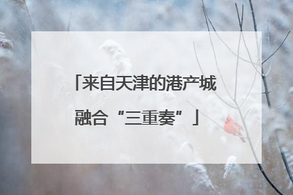 来自天津的港产城融合“三重奏”