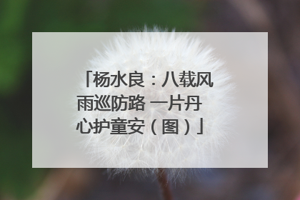 杨水良：八载风雨巡防路 一片丹心护童安（图）