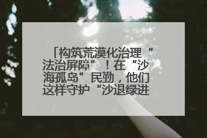 构筑荒漠化治理“法治屏障”！在“沙海孤岛”民勤，他们这样守护“沙退绿进”的生态奇迹