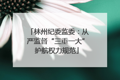 林州纪委监委：从严监督“三重一大” 护航权力规范