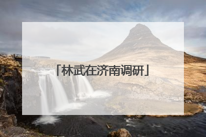 林武在济南调研