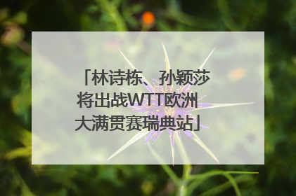林诗栋、孙颖莎将出战WTT欧洲大满贯赛瑞典站