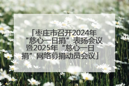 枣庄市召开2024年“慈心一日捐”表扬会议暨2025年“慈心一日捐”网络募捐动员会议