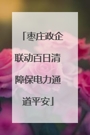 枣庄政企联动百日清障保电力通道平安