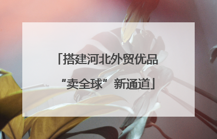 搭建河北外贸优品“卖全球”新通道