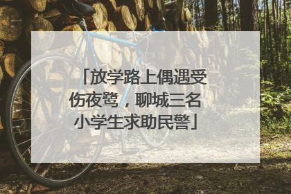 放学路上偶遇受伤夜鹭，聊城三名小学生求助民警