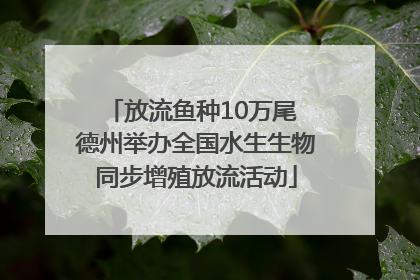 放流鱼种10万尾 德州举办全国水生生物同步增殖放流活动