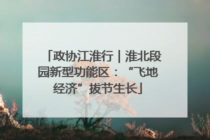 政协江淮行｜淮北段园新型功能区：“飞地经济”拔节生长