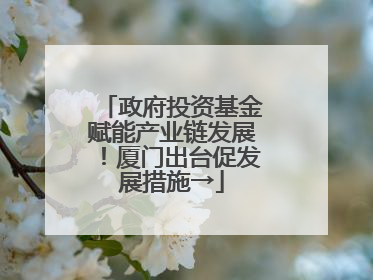 政府投资基金赋能产业链发展！厦门出台促发展措施→