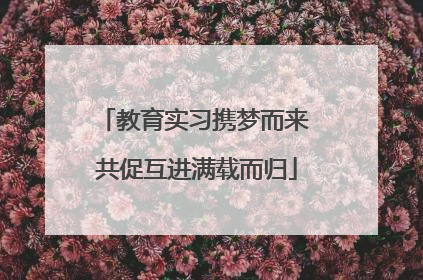 教育实习携梦而来 共促互进满载而归