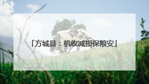 方城县：机收减损保粮安