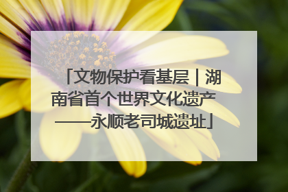 文物保护看基层｜湖南省首个世界文化遗产——永顺老司城遗址