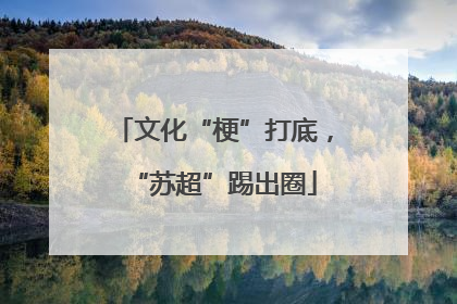 文化“梗”打底，“苏超”踢出圈