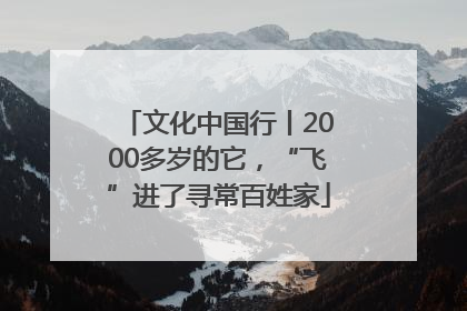 文化中国行丨2000多岁的它，“飞”进了寻常百姓家