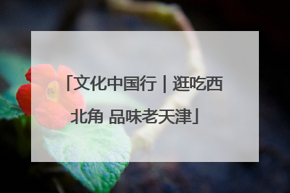文化中国行｜逛吃西北角 品味老天津