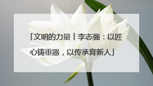 文明的力量丨李志强：以匠心铸重器，以传承育新人