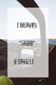 斑海豹“汤圆”归海记
