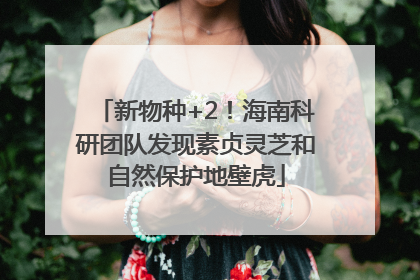 新物种+2！海南科研团队发现素贞灵芝和自然保护地壁虎