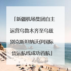 新疆机场集团自主运营乌鲁木齐至乌兹别克斯坦纳沃伊国际货运航线成功首航
