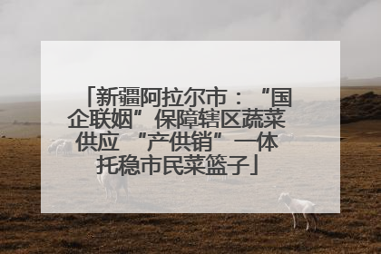 新疆阿拉尔市：“国企联姻”保障辖区蔬菜供应 “产供销”一体托稳市民菜篮子