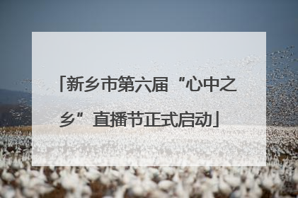 新乡市第六届“心中之乡”直播节正式启动
