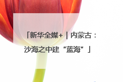 新华全媒+｜内蒙古：沙海之中建“蓝海”
