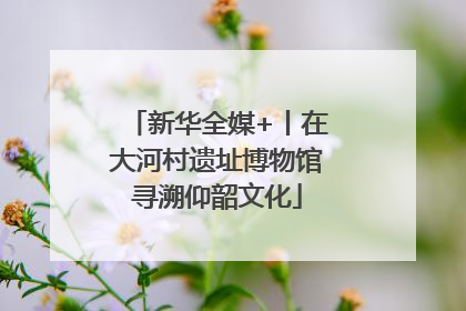 新华全媒+丨在大河村遗址博物馆寻溯仰韶文化