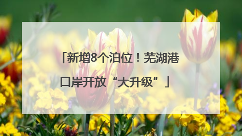 新增8个泊位!芜湖港口岸开放“大升级”