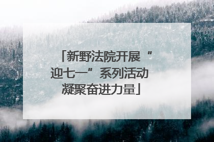 新野法院开展“迎七一”系列活动 凝聚奋进力量
