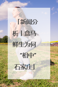 新闻分析丨盒马鲜生为何“相中”石家庄