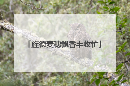 旌德麦穗飘香丰收忙