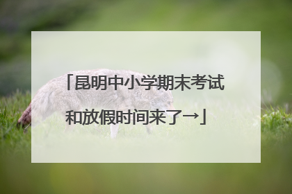 昆明中小学期末考试和放假时间来了→
