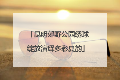 昆明郊野公园绣球绽放演绎多彩夏韵