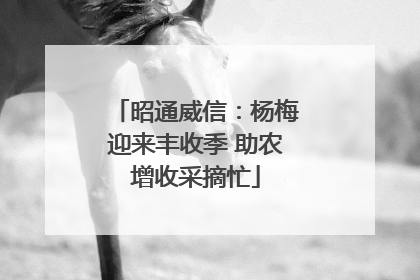 昭通威信：杨梅迎来丰收季 助农增收采摘忙