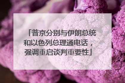 普京分别与伊朗总统和以色列总理通电话，强调重启谈判重要性