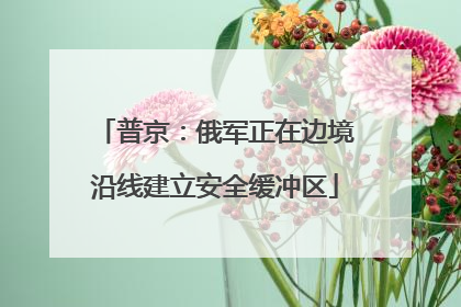 普京：俄军正在边境沿线建立安全缓冲区