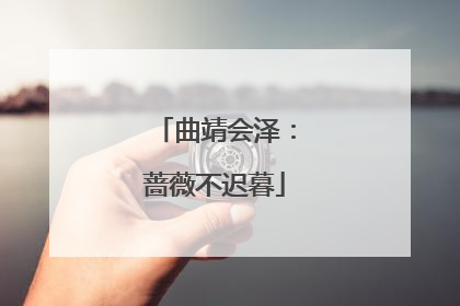 曲靖会泽：蔷薇不迟暮