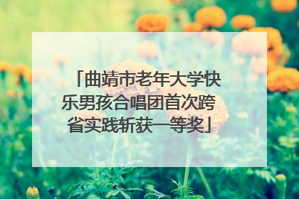 曲靖市老年大学快乐男孩合唱团首次跨省实践斩获一等奖