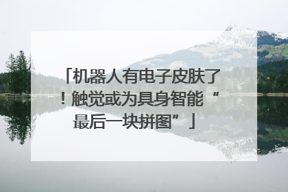机器人有电子皮肤了！触觉或为具身智能“最后一块拼图”