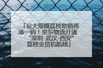 最大规模荔枝助销再添一码！京东物流开通“深圳-武汉-西安” 荔枝全货机航线